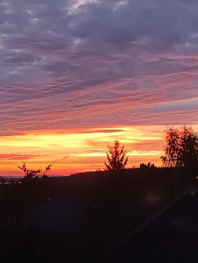 Ferienwohnung Hey Elgersburg Dış mekan fotoğraf